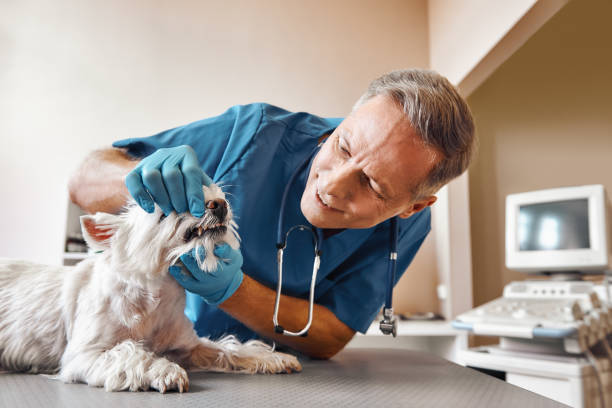 Best Urgent Care for Lost Fillings or Crowns in Ramsey, MN